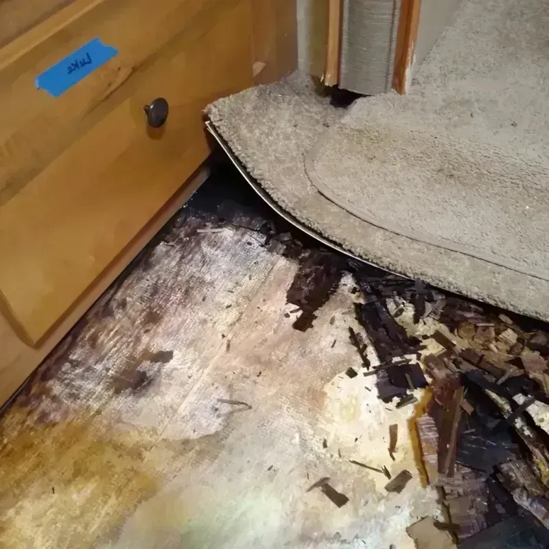 Wood Floor Water Damage in Hays, KS